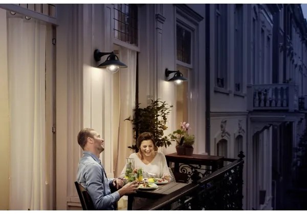 Philips 17381/30/PN - Vonkajšie nástenné svietidlo COMORANT 1xE27/42W/230V IP44