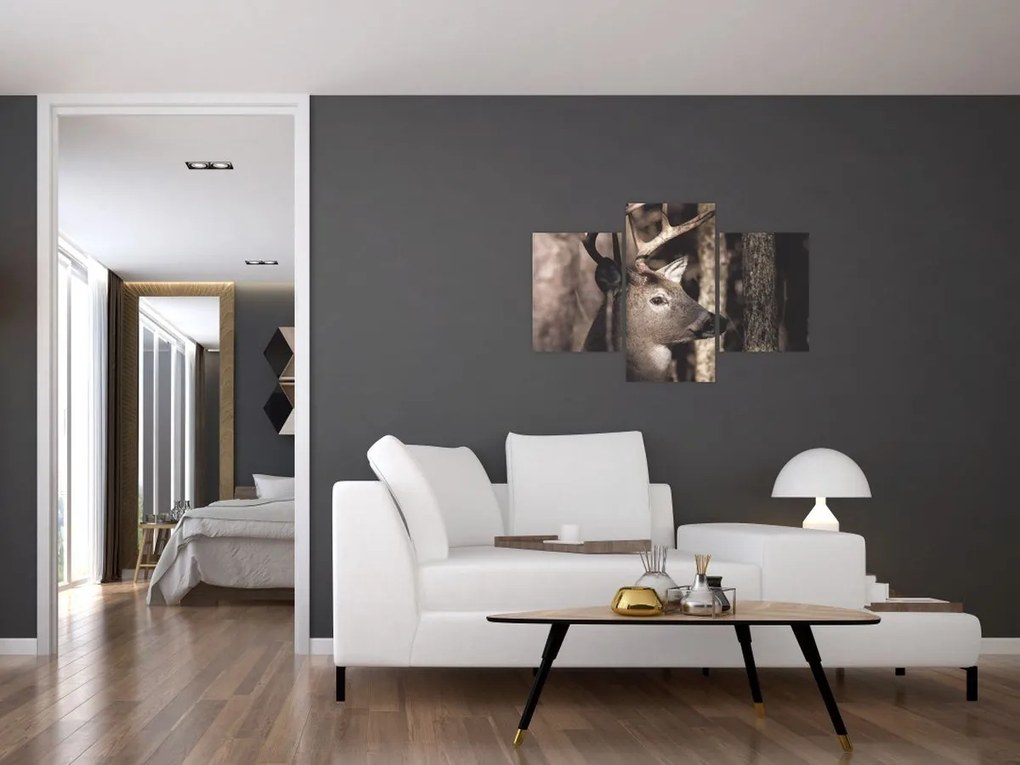 Obraz - Jeleň v lese (90x60 cm)