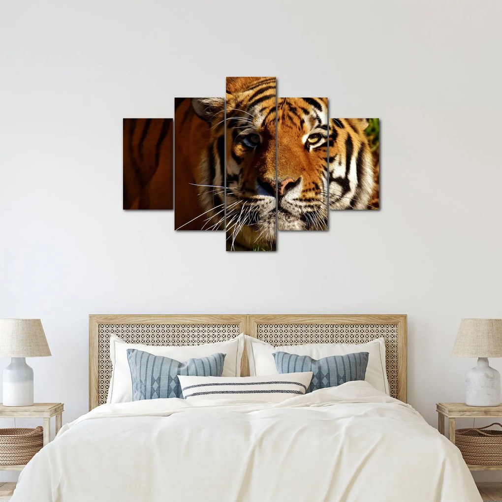 Obraz tigra (150x105 cm)