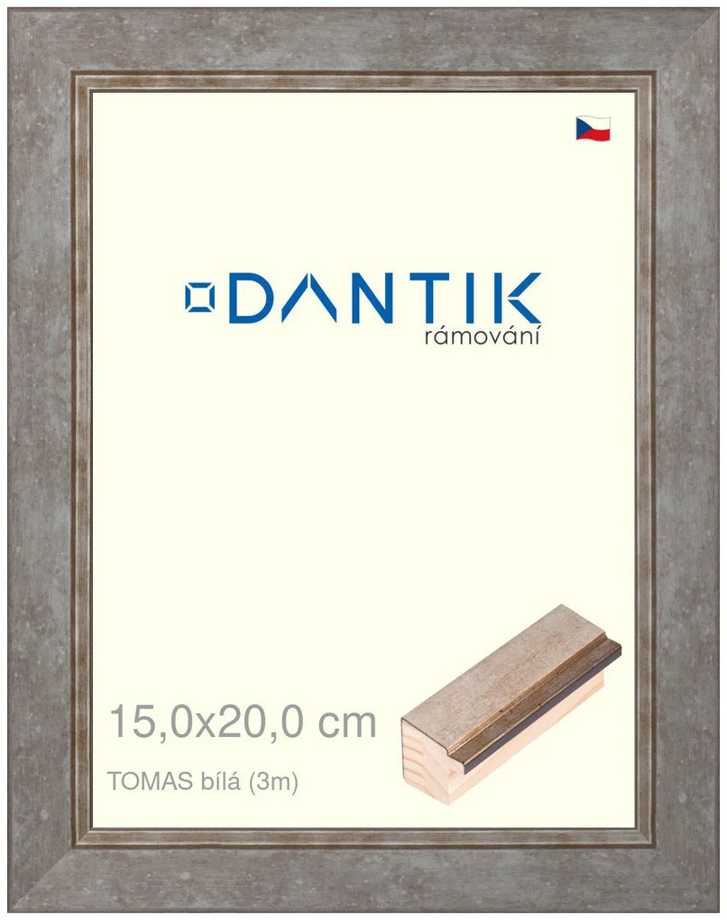 DANTIK rám na obraz 15x20 | TOMAS bílá (Sklo Čiré)