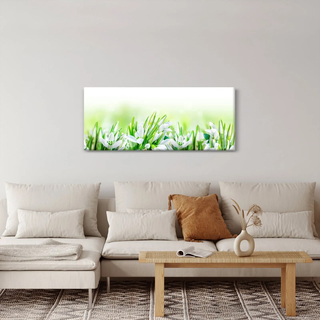 Obraz - Snežienky (120x50 cm)