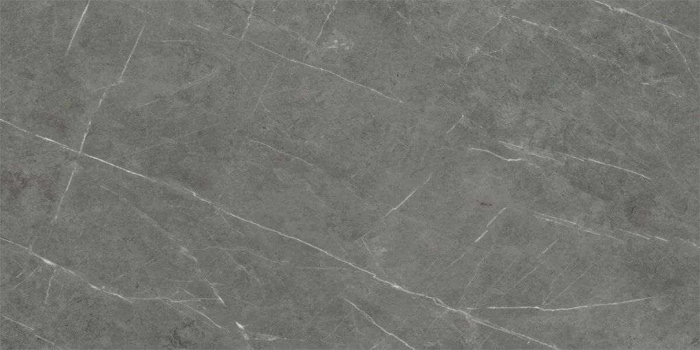 Dlažba Tessino Grey Natural 60x120 R