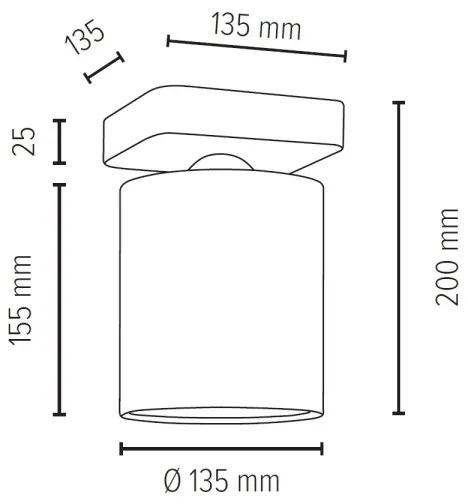 Spot-Light 8512174 - Stropné svietidlo JENTA 1xE27/25W/230V