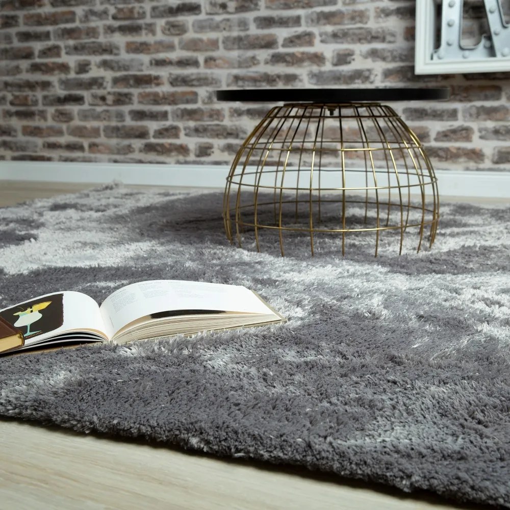 Obsession, DOPREDAJ: 200x290 cm Kusový koberec Curacao 490 silver, 200x290, šedá, obývacia izba