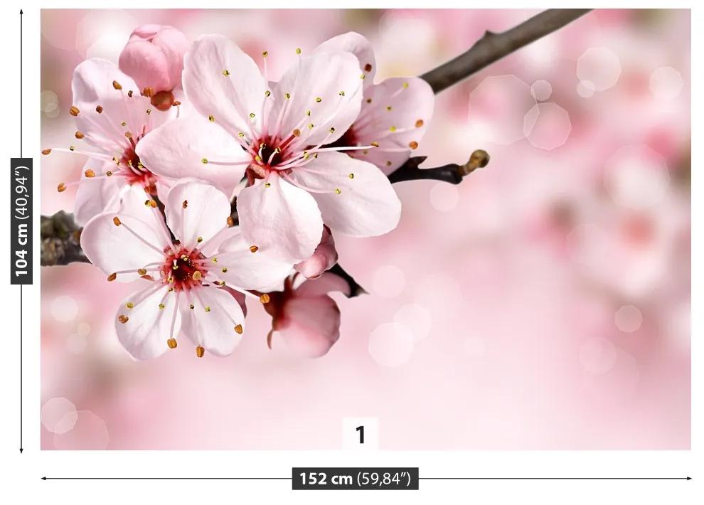 Fototapeta Vliesová Ružový kvet 416x254 cm