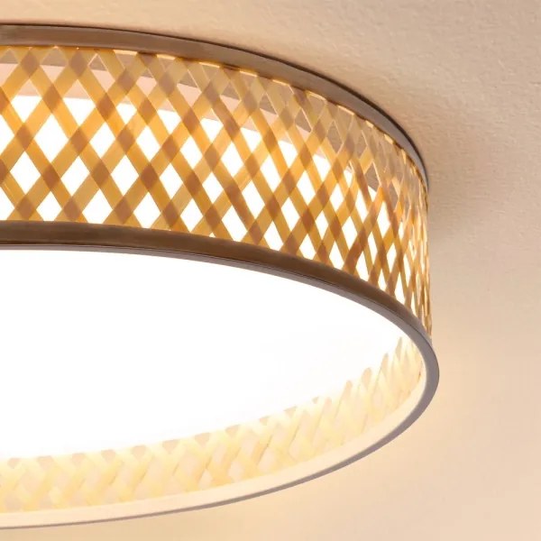 Brilagi - LED Stmievateľné stropné svietidlo CAMILA LED/48W/230V 3000-6500K + DO