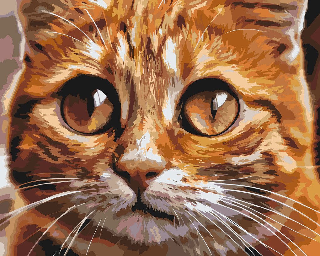 Gario Maľovanie podľa čísel Mačacie oči 2 Rozmery: 100 x 80 cm, Rámovanie: S vnútorným rámom