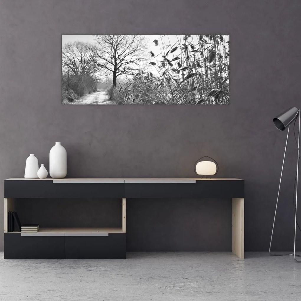 Obraz - Pole v zime (120x50 cm)
