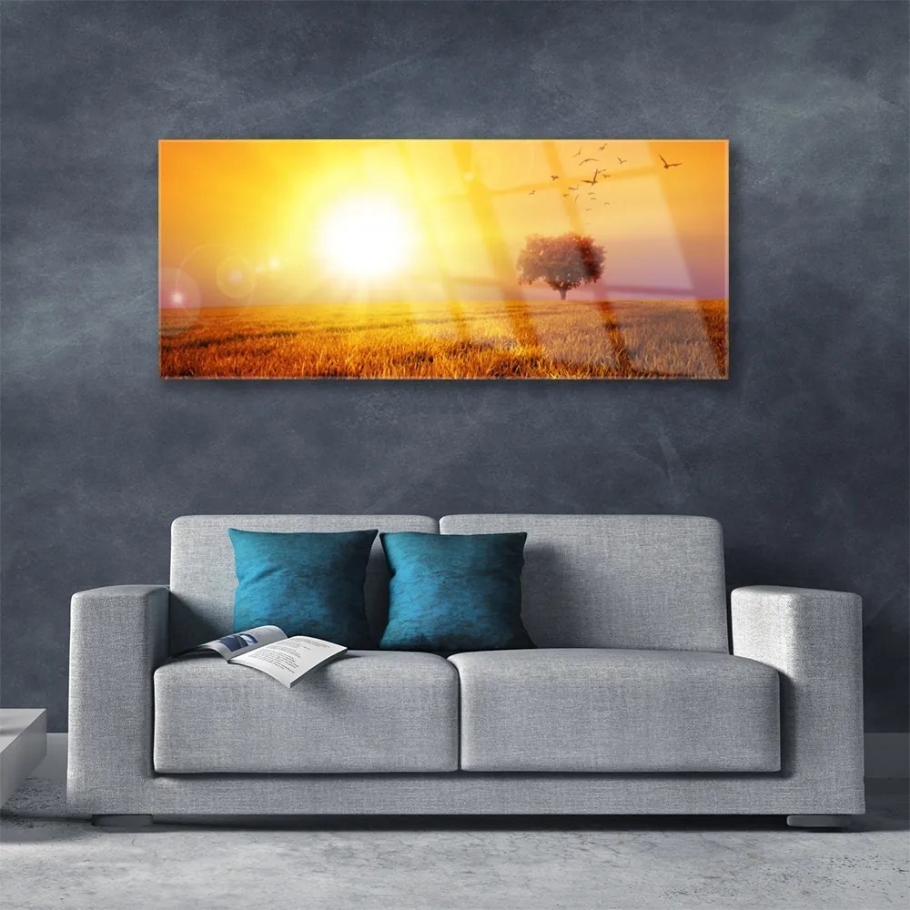 Obraz plexi Západ slnka lúka plátky 125x50 cm