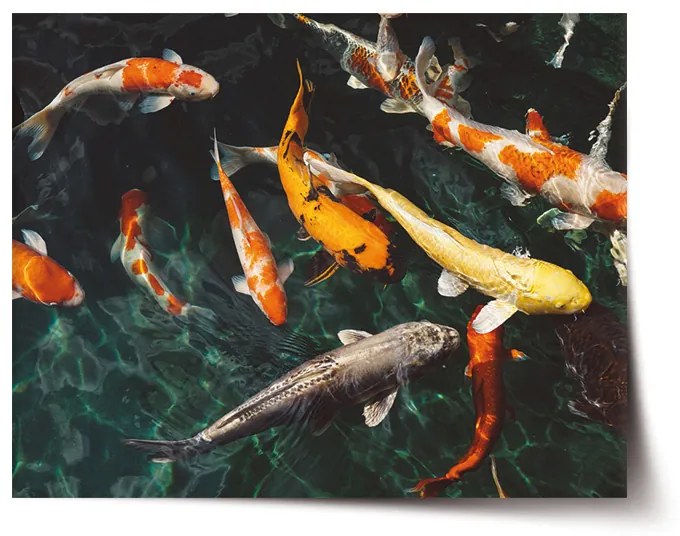 Sablio Plagát Ryby - 90x60 cm