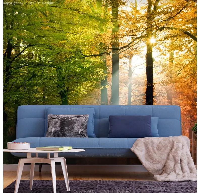 Artgeist Fototapeta - Forest Colours Veľkosť: 100x70, Verzia: Standard