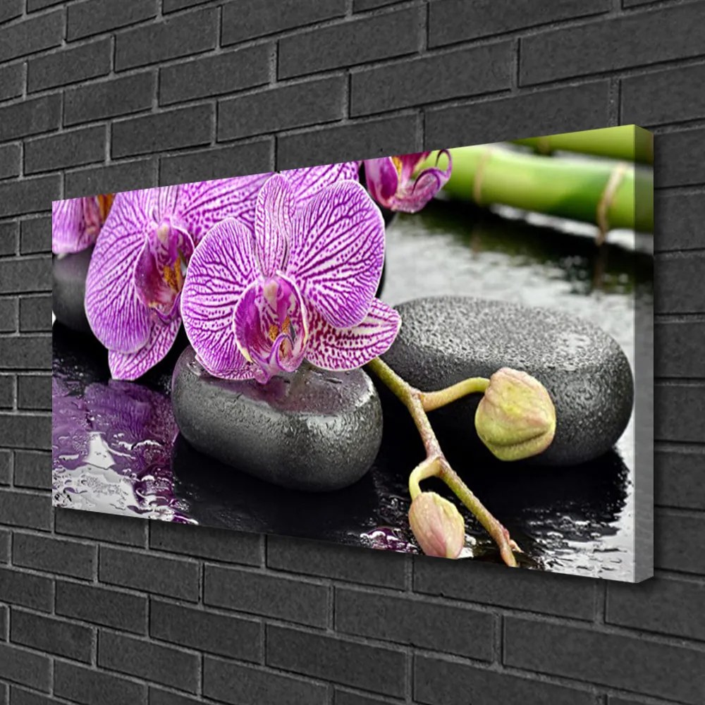 Obraz Canvas Kamene zen orchidea kúpele 125x50 cm