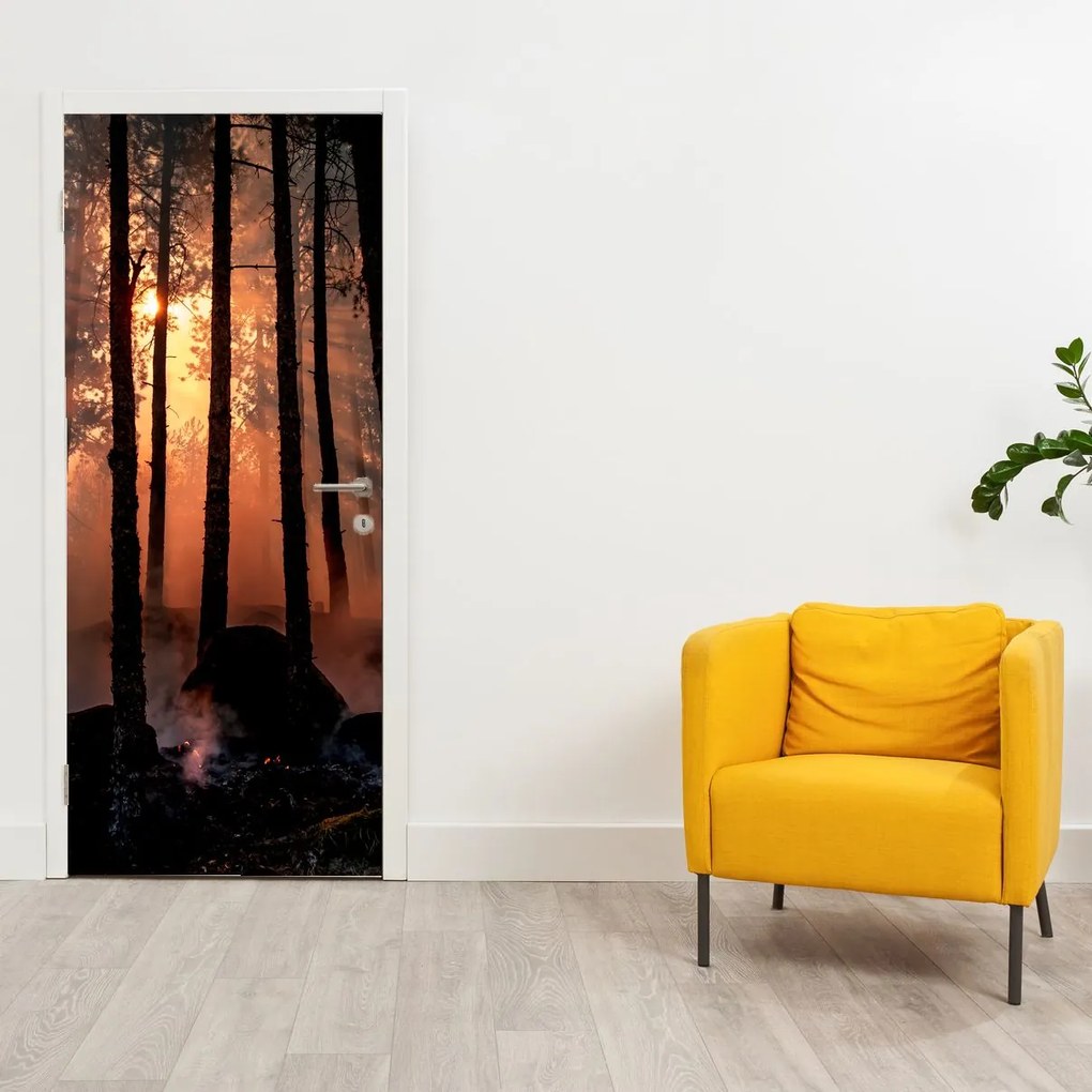 Fototapeta na dvere - Temný les (95x205cm)