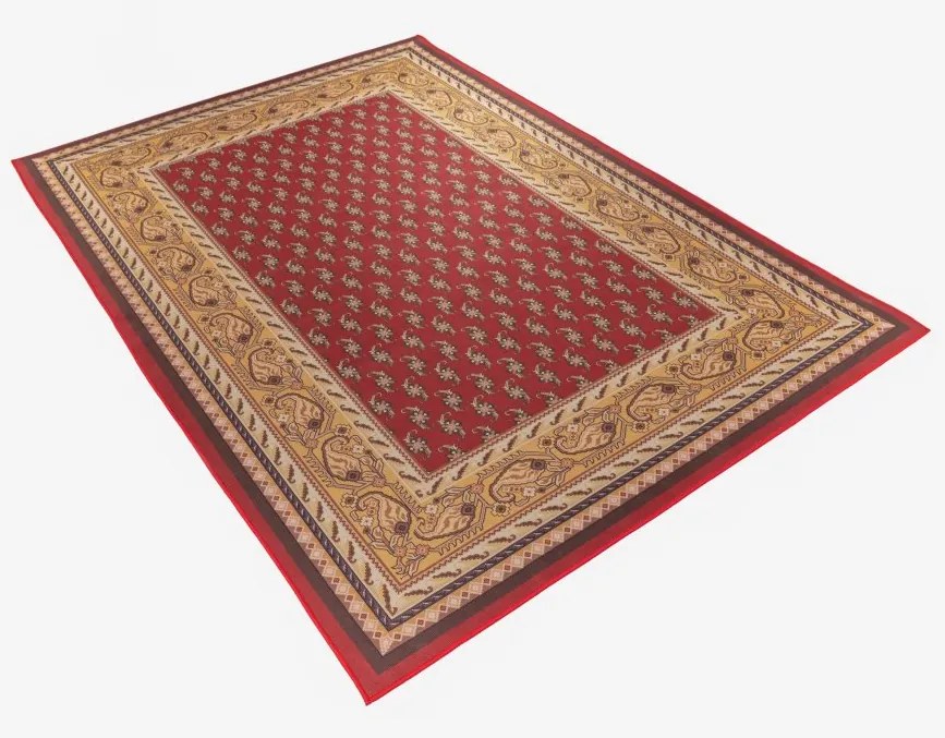 TA Koberec hj-new-1 (CR-1) CRYSTAL PRINT Rozmer: 70x150 cm