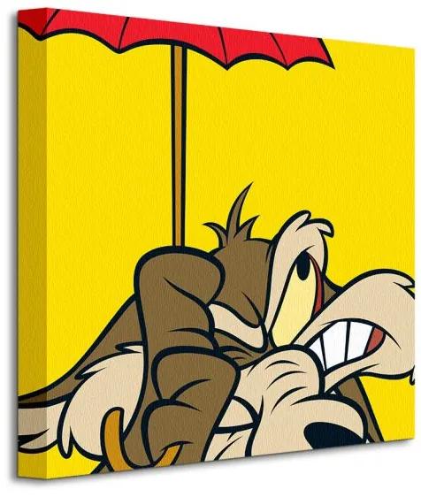 Art Group Obraz na plátne Looney Tunes (Wile E Coyote) Veľkosť: 40 x 40 cm