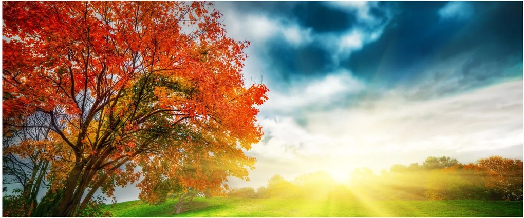 Obraz krajiny zaliate slnečným svitom (120x50 cm)