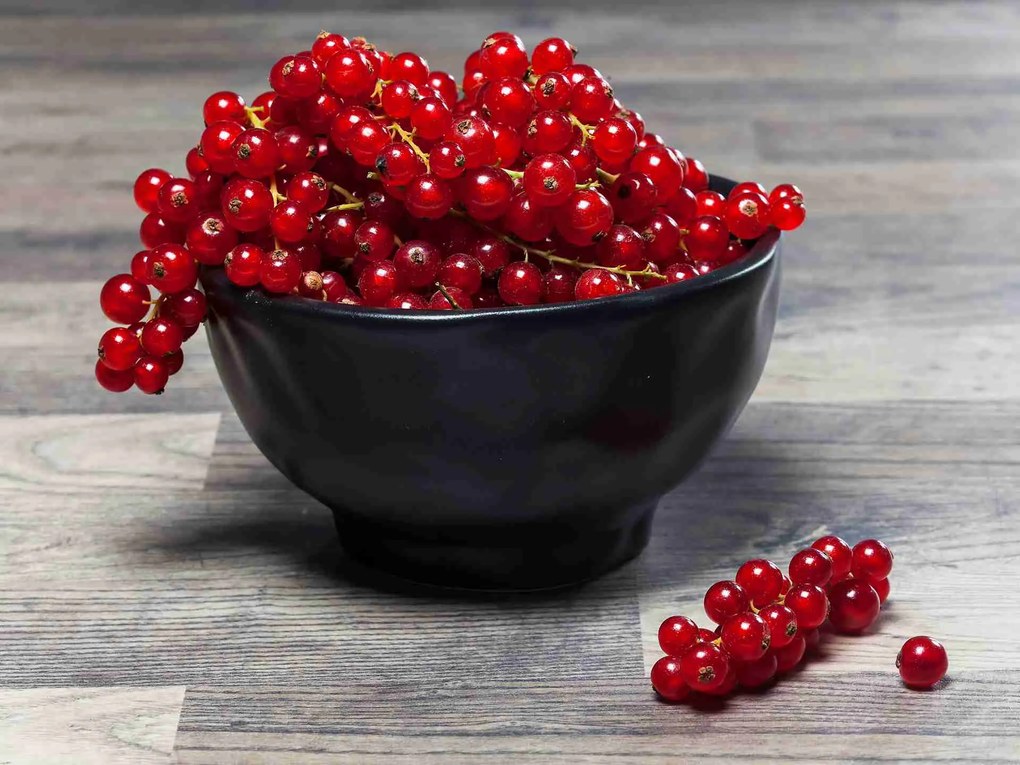 Organic miska čierna