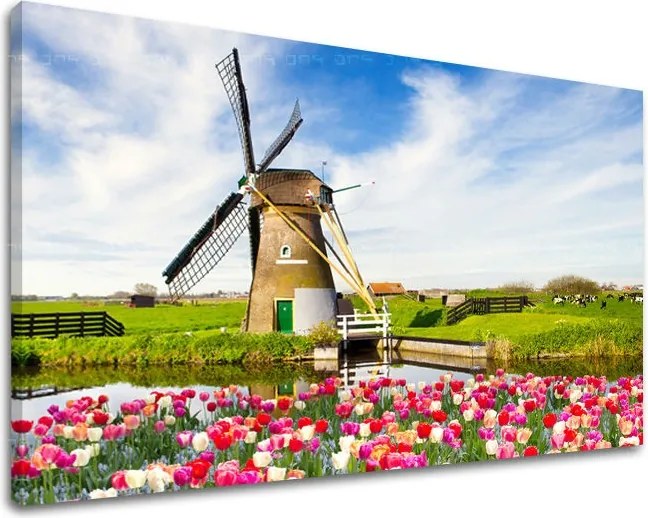 Obraz na stenu MESTO ME101E11 - 20x30 cm