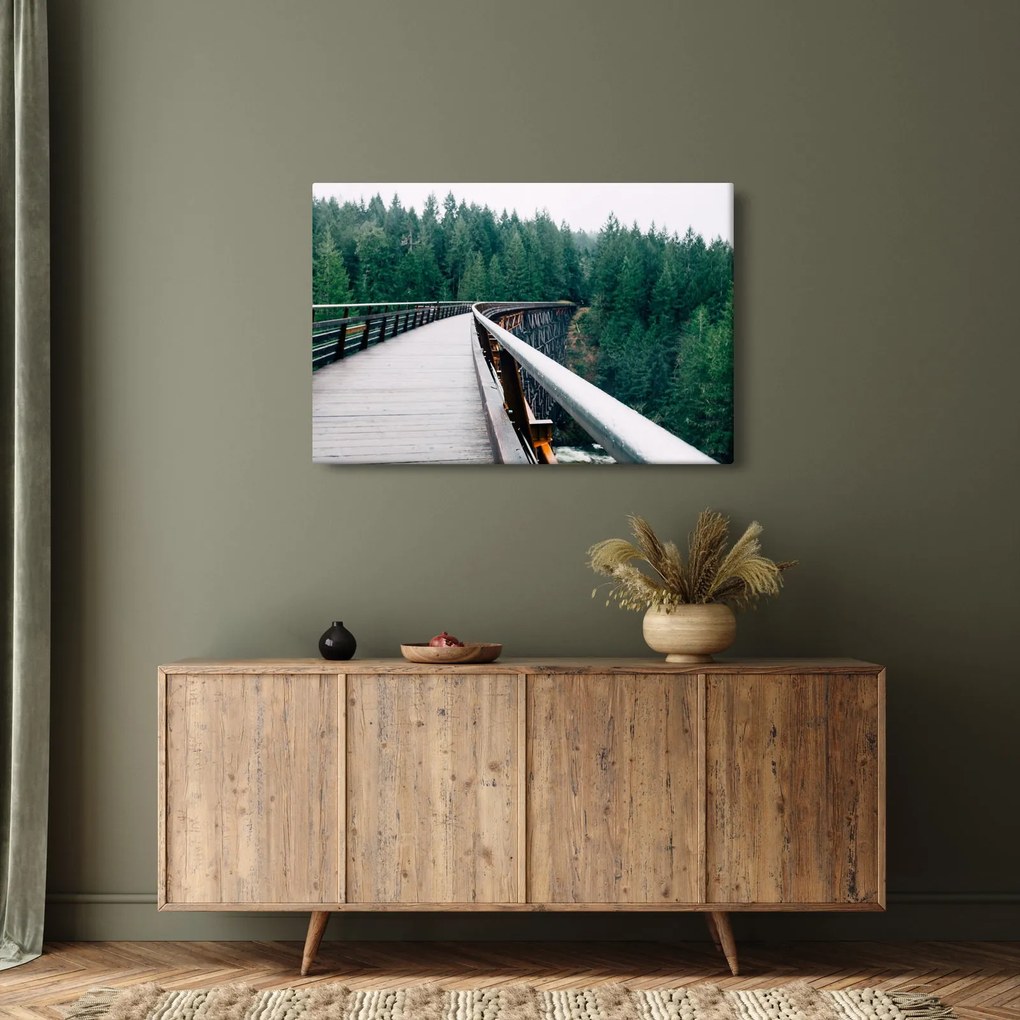 Obraz - Most k vrcholkom stromov (90x60 cm)