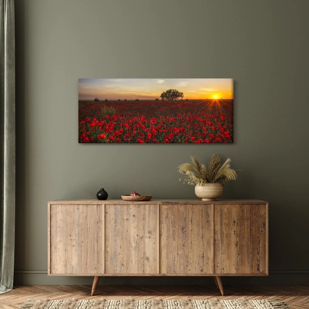 Obraz lúky s vlčími makmi (120x50 cm)