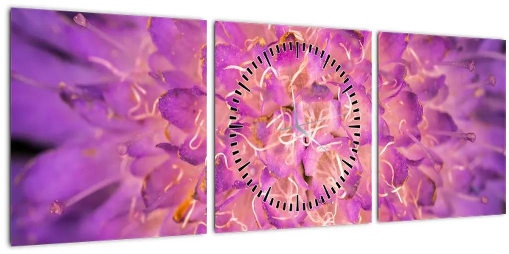 Detailný obraz kvetu (s hodinami) (90x30 cm)