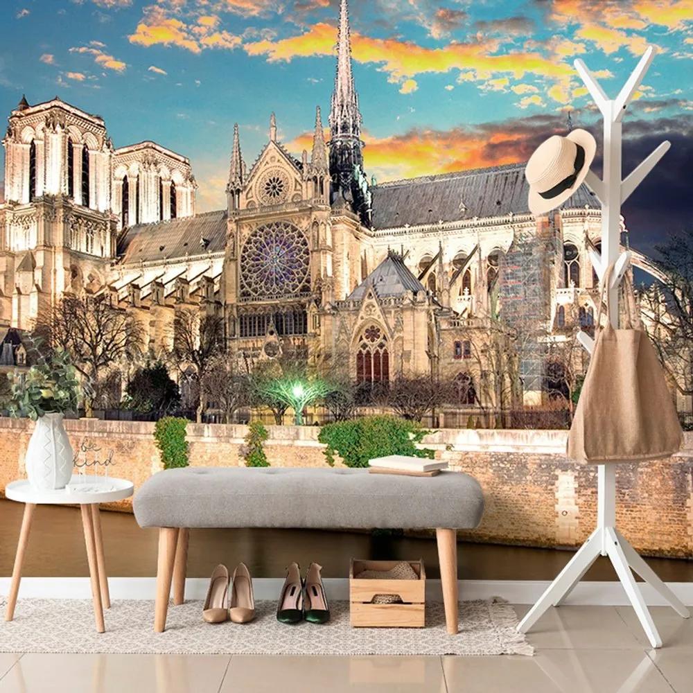 Fototapeta katedrála Notre Dame - 150x100