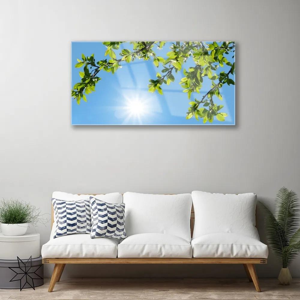 Obraz na akrylátovom skle Slnko príroda 100x50 cm