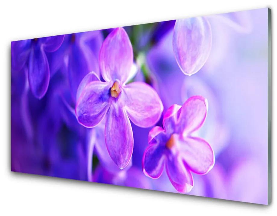 Skleneny obraz Fialové kvety príroda 100x50 cm