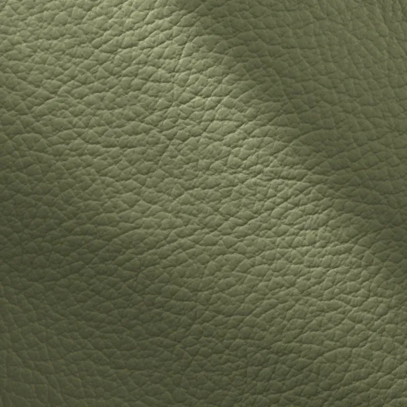 Kožené kreslo CONTINENTAL 1P, pistáciová (salvia 336)