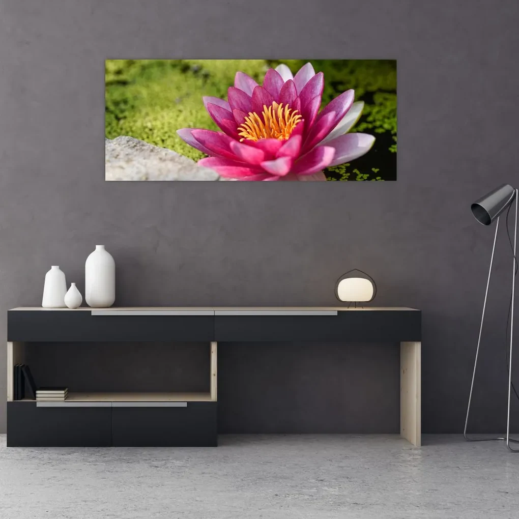Obraz - Lekno (120x50 cm)