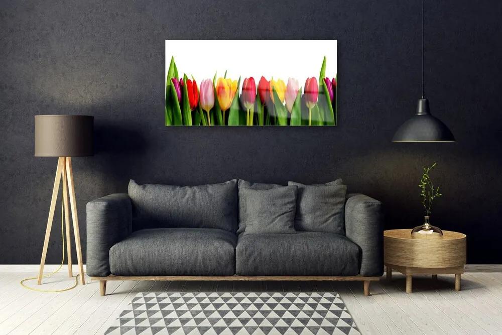 Obraz na skle Tulipány rastlina 100x50 cm