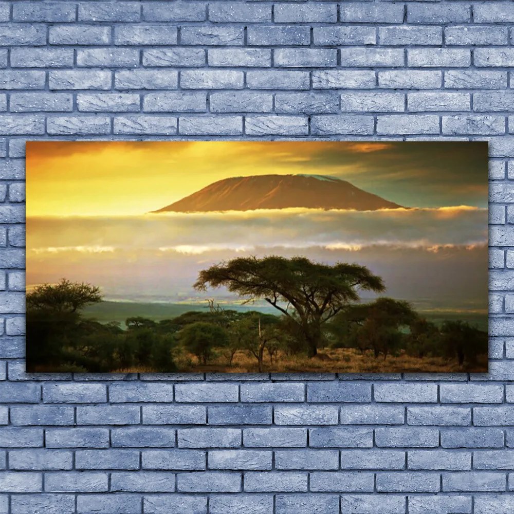 Obraz na akrylátovom skle Strom hory príroda 120x60 cm