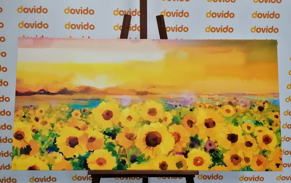 Obraz slnečnicové pole