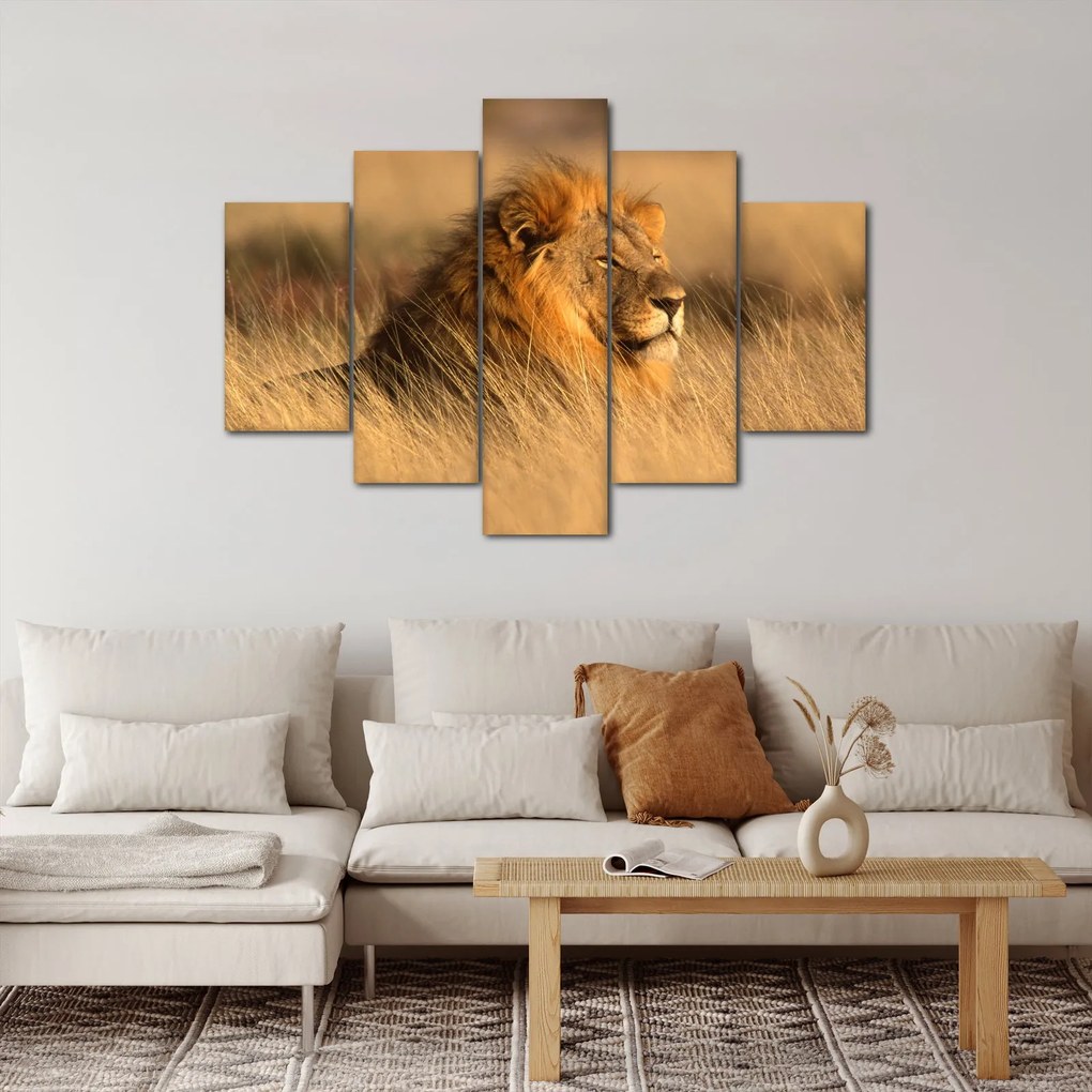 Obraz - Národný park Etosha (150x105 cm)