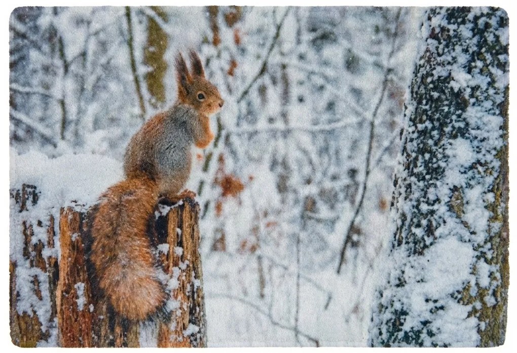 Vianočná rohožka WILD IN WHITE 38x58 cm - viac variantov Varianta: Líška