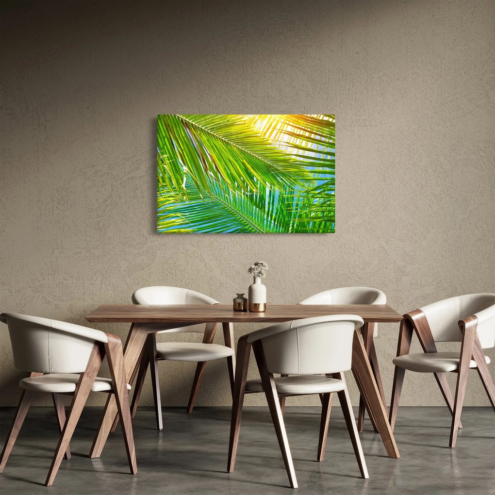 Obraz - Palmové listy (90x60 cm)