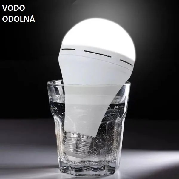 LED úsporná žiarovka 12W