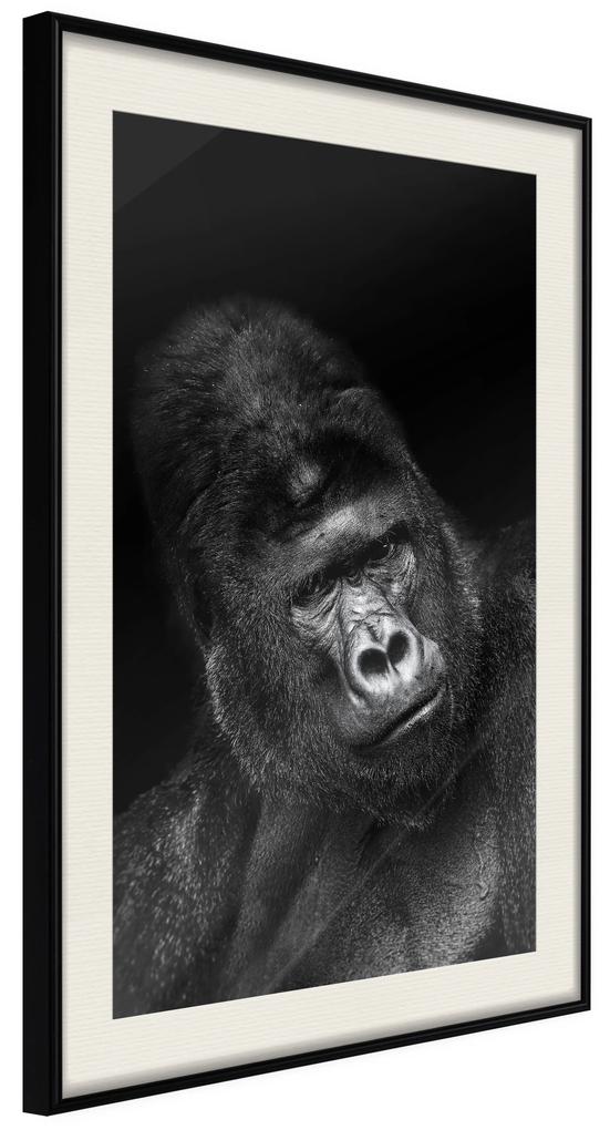 Artgeist Plagát - Gorilla [Poster] Veľkosť: 30x45, Verzia: Zlatý rám