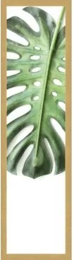 Rámovaný obraz Zelený list, 15x60 cm%