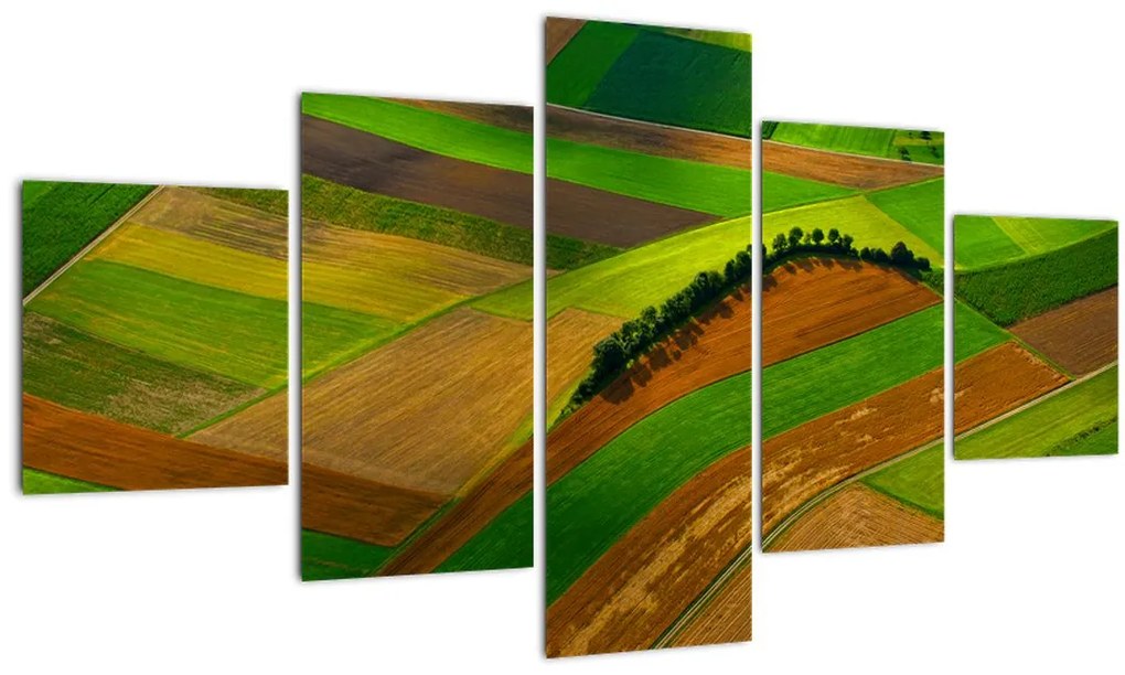 Obraz - Polia, lúky (125x70 cm), 40 ďalších rozmerov