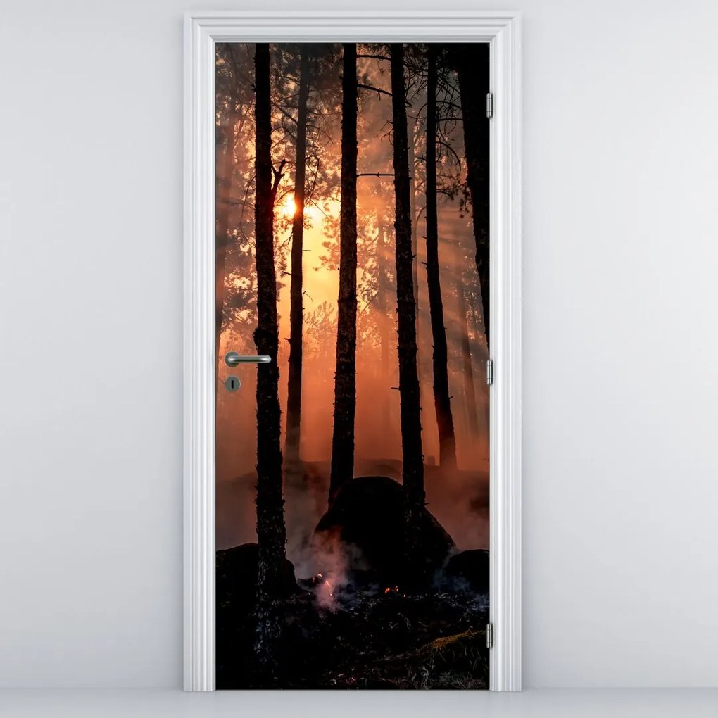 Fototapeta na dvere - Temný les (95x205cm)