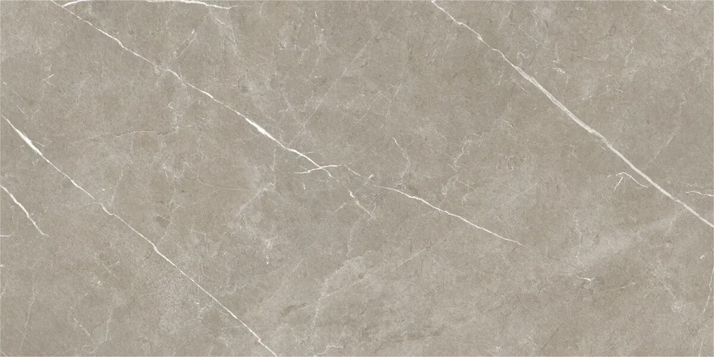 Dlažba Eternal Taupe Natural 60x120 R