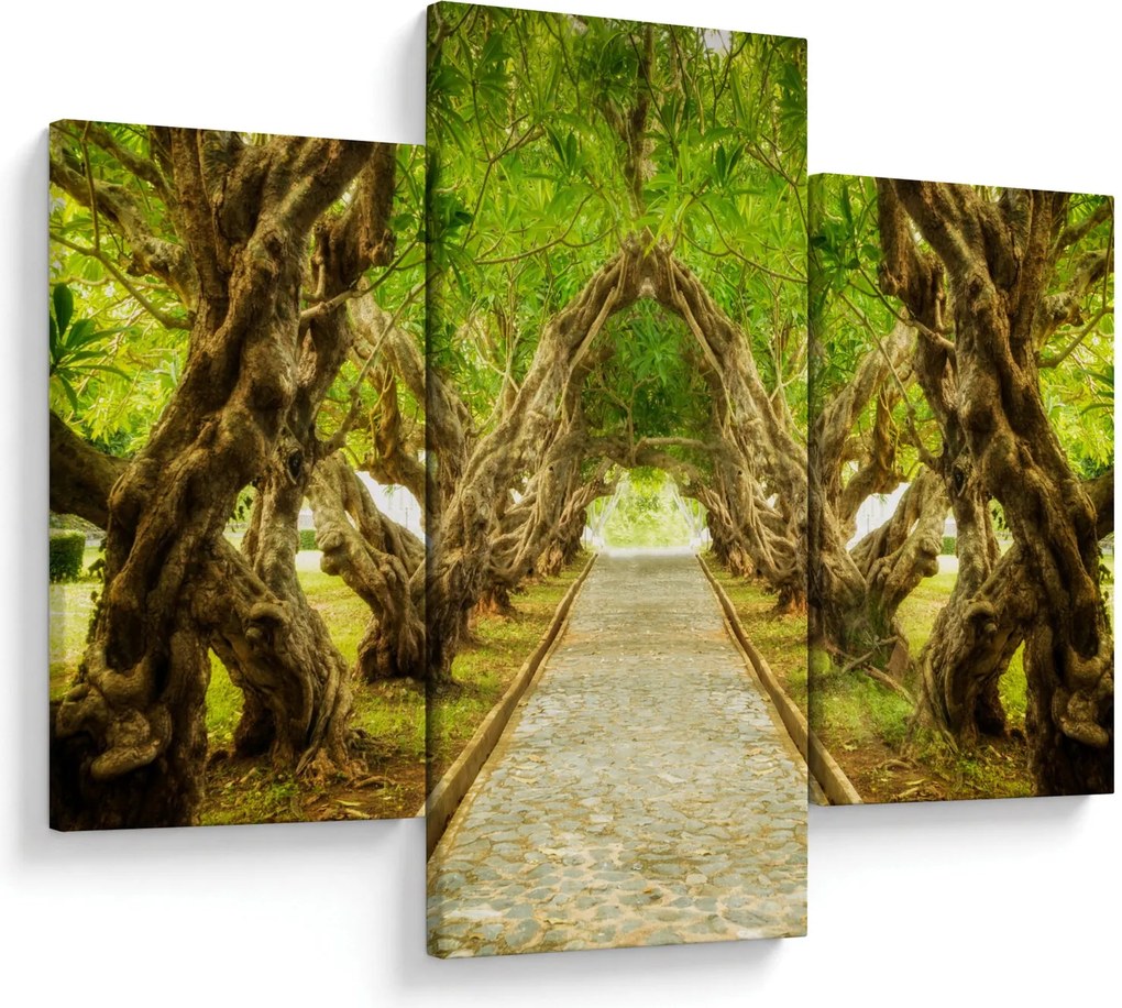 Obraz - Živý tunel z plumérií (90x60 cm)