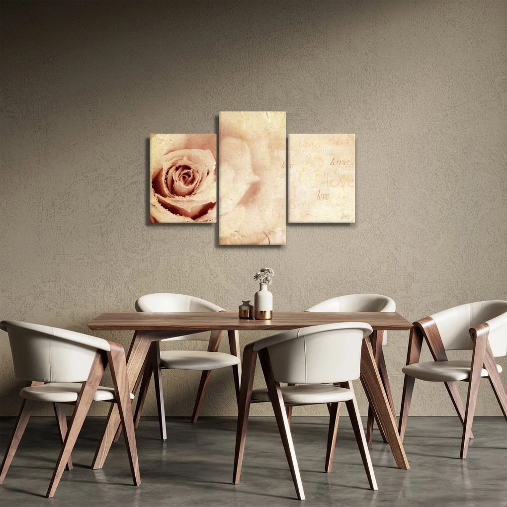 Obraz - Kvet ruže pre zaľúbených (90x60 cm)