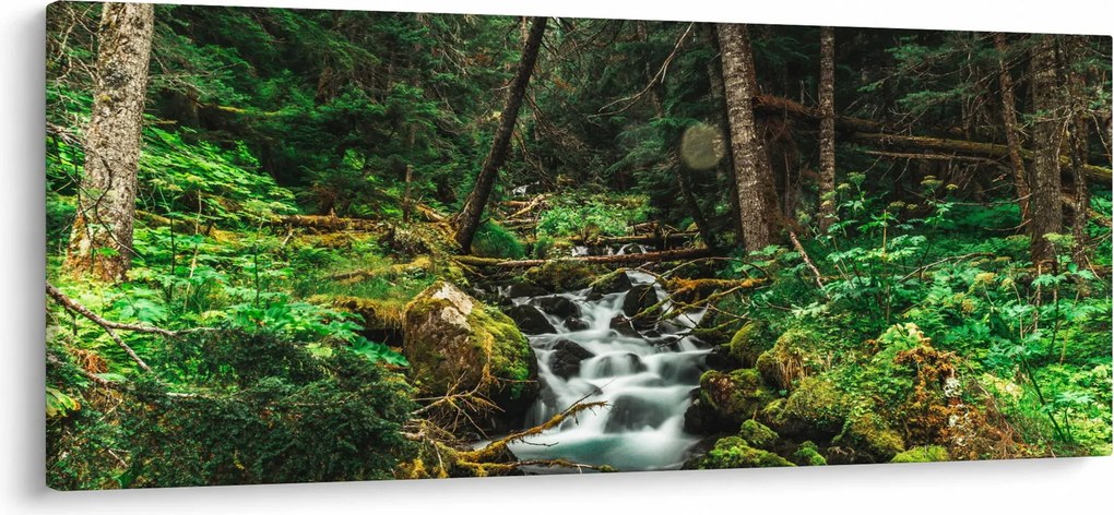 Obraz potoka v lese (120x50 cm)