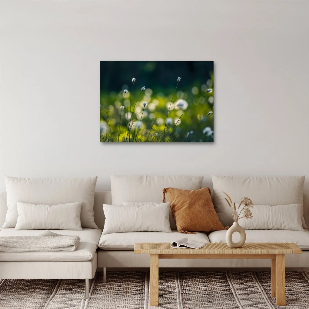 Obraz - Tráva (70x50 cm)