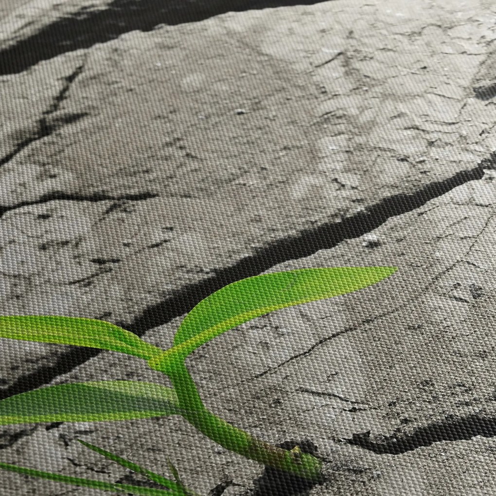 Obraz - Praskliny (120x50 cm)