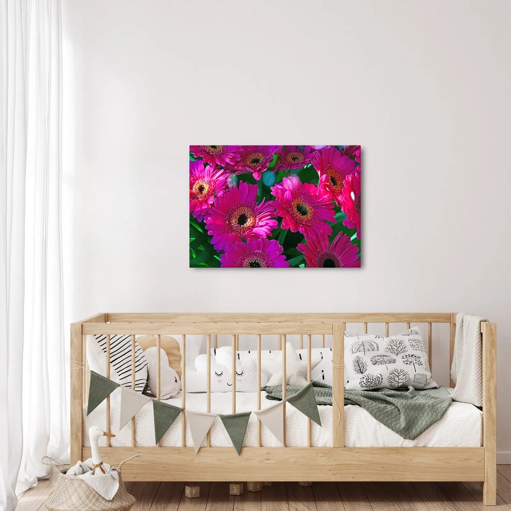 Obraz - kvety (70x50 cm)