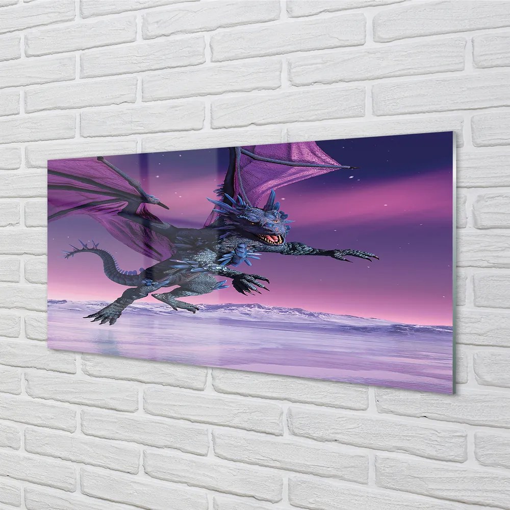 Obraz plexi Dragon pestré oblohy 100x50 cm