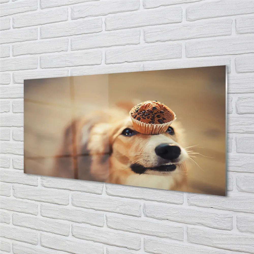 Nástenný panel  dog bun 120x60 cm